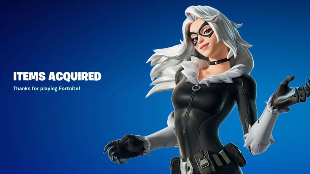 Fortnite Black Cat Skin 